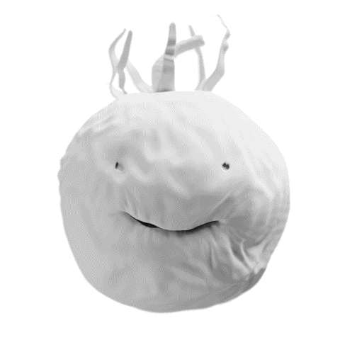 tomatos